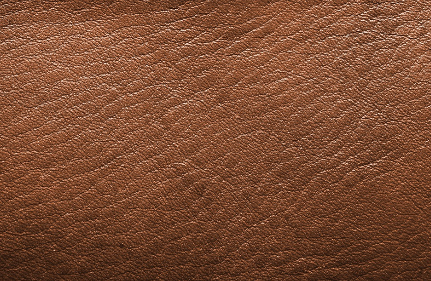 Understanding the Environmental Impact of Leather