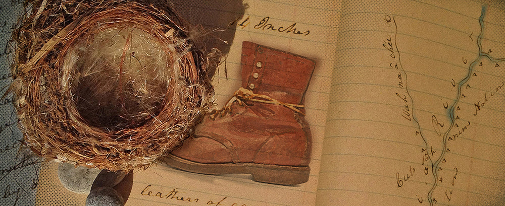 field guide, leather shoe, river, nest (artistic featured image)