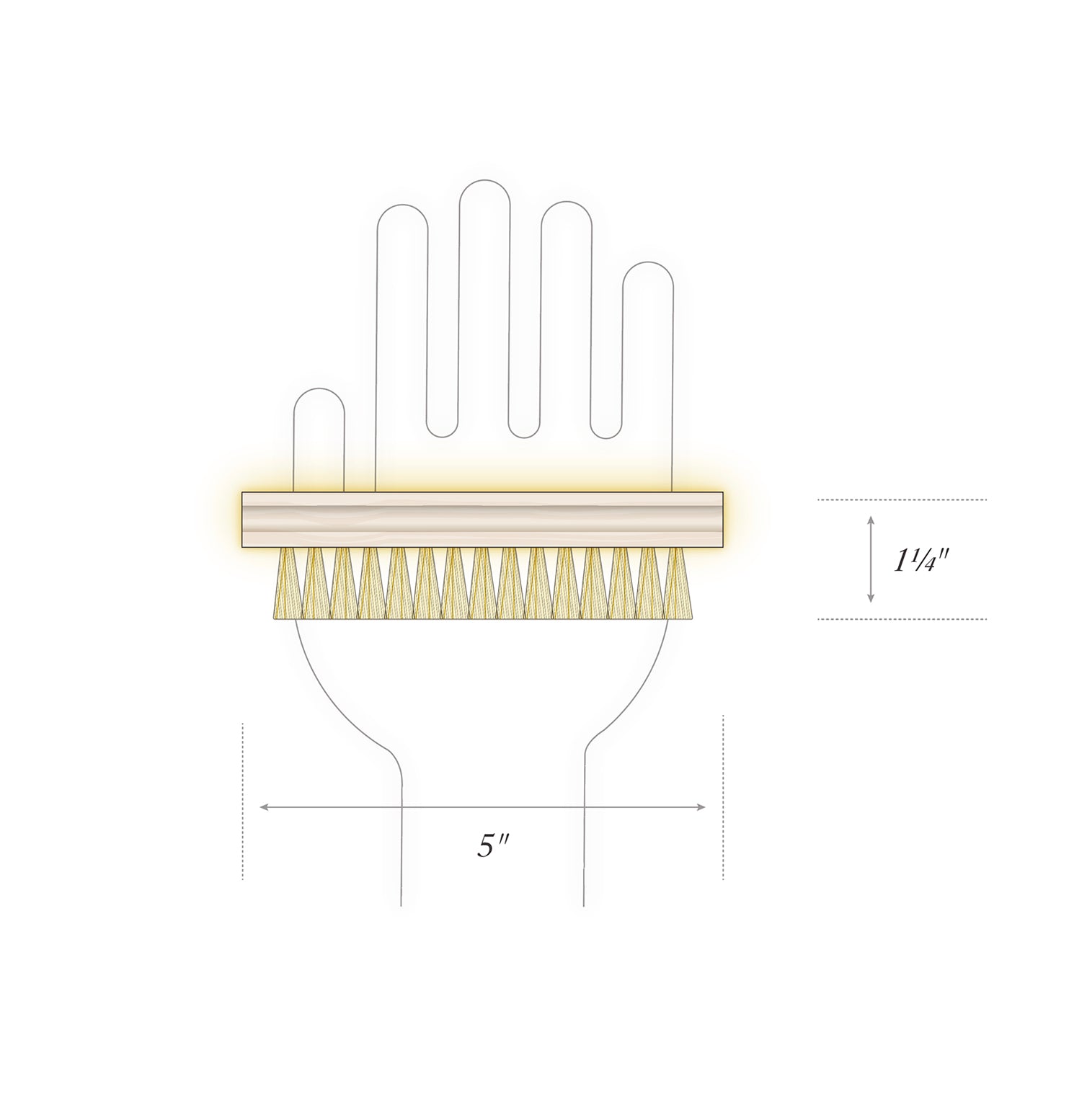 Diagram of human hand and side view of wood-handled brush with tampico bristles showing size of brush to be five inches in length and one and one-half inches in width.